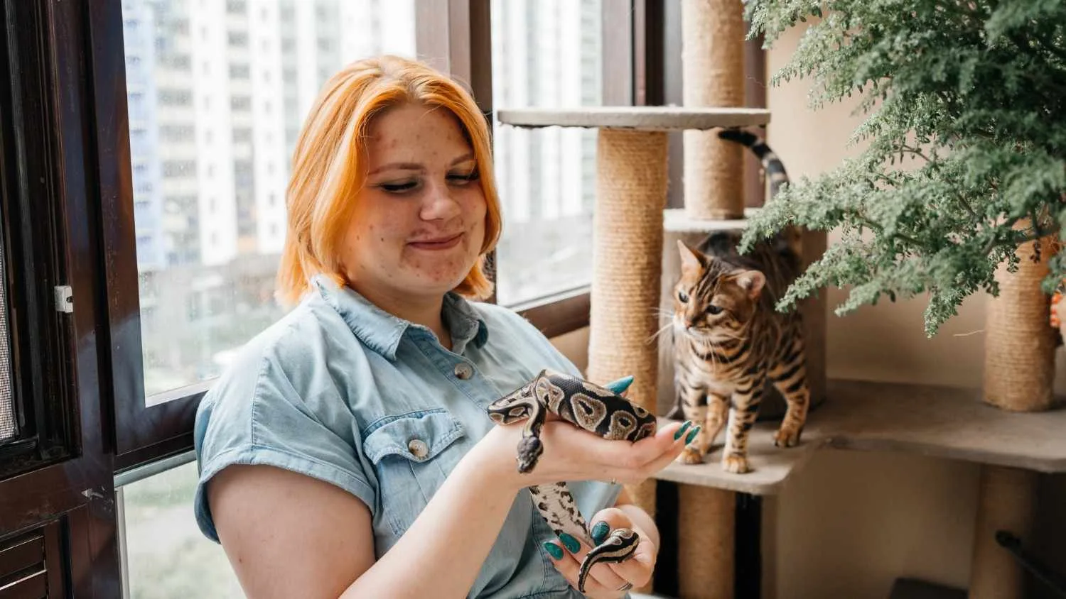 Designing Spaces for Your Pets