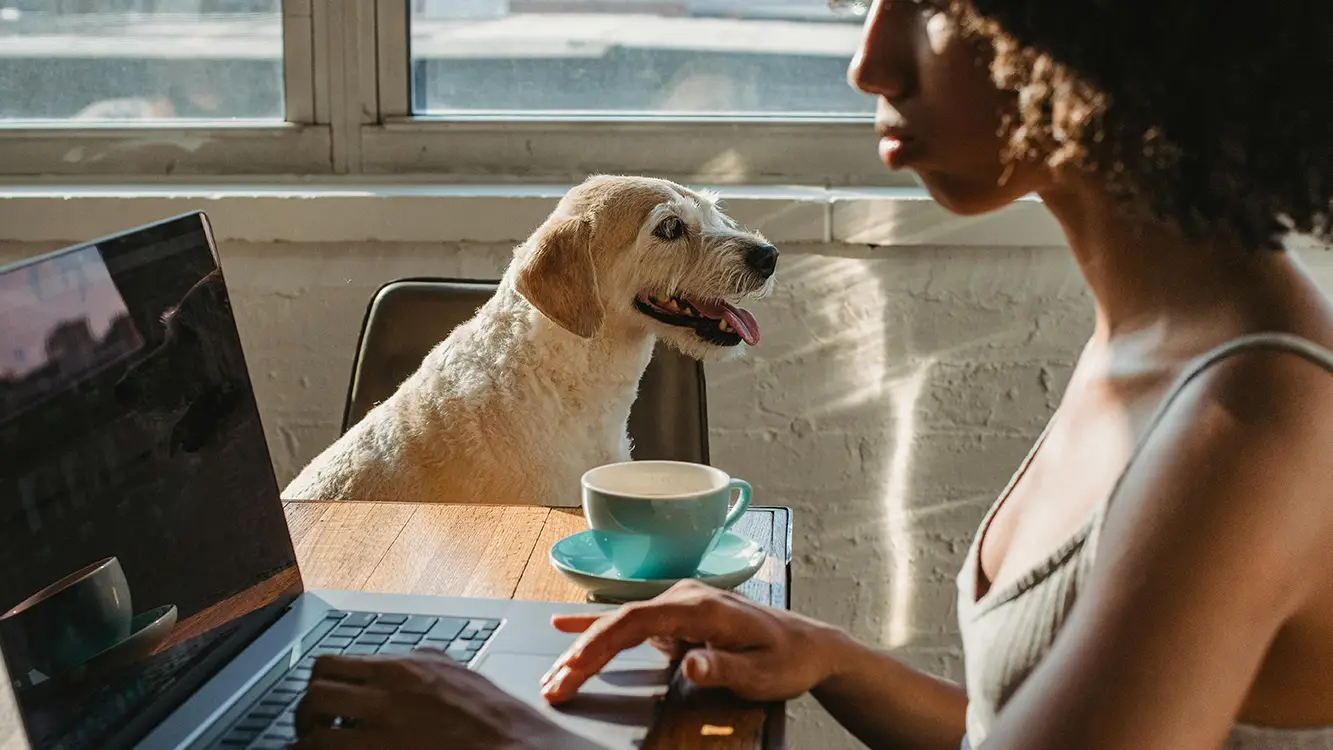 Down Payment Assistance 