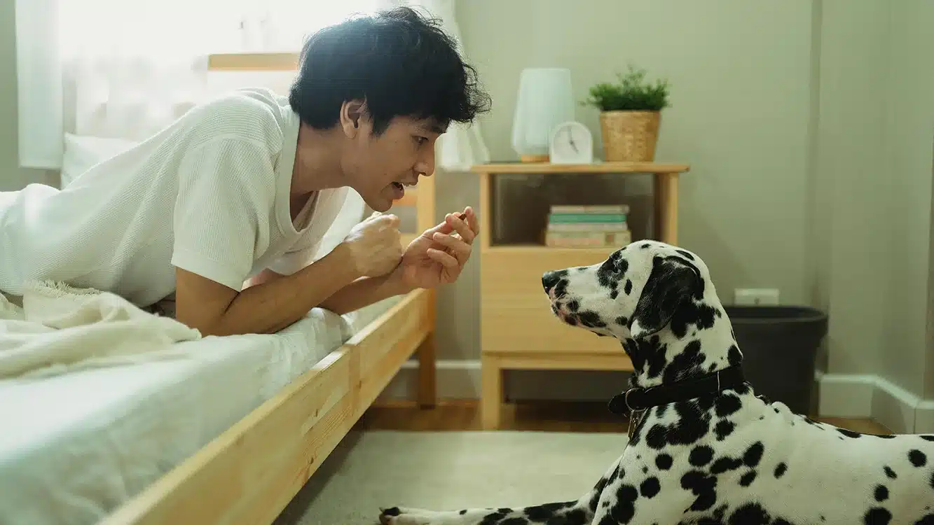 How to Choose the Best Down Payment Assistance (DPA) Program in Delaware 2 How to choose the best DPA in Delaware